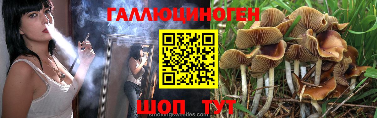 Галлюциногенные грибы Psilocybine cubensis Менделеевск